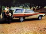 Buick Sport Wagon Custom 1969 года